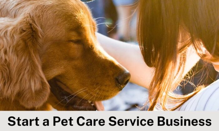 how-to-start-a-pet-care-service-business-in-india