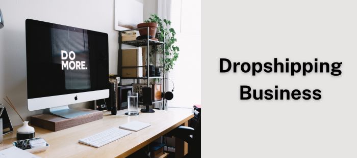 dropshipping-business
